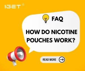 How Do Nicotine Pouches Work