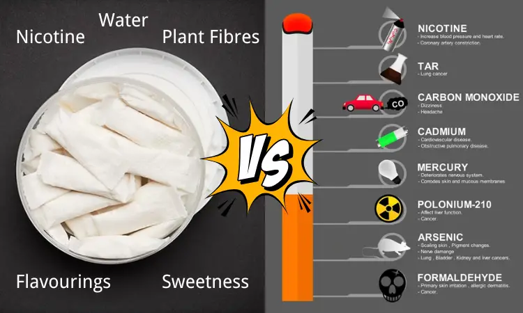 Nicotine Pouches VS Cigarettes - Ingredients