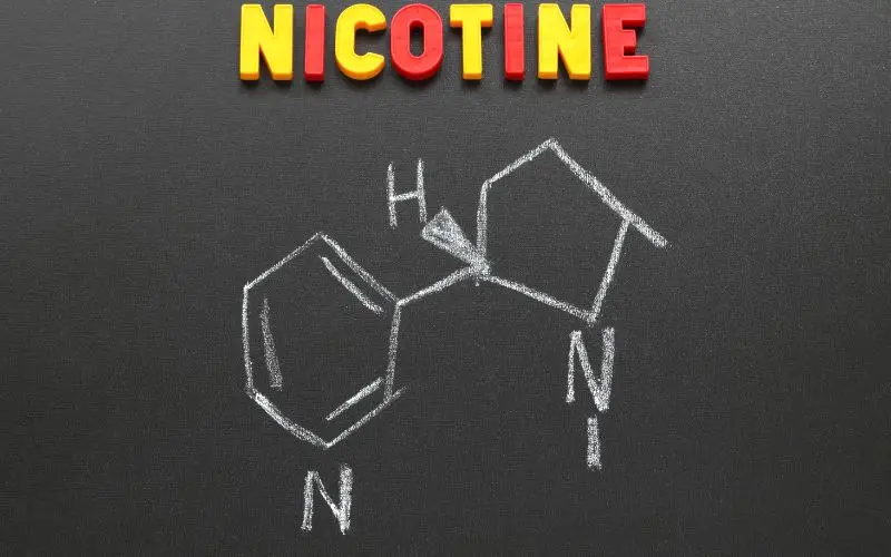 IGET Hot Ingredients: Nicotine